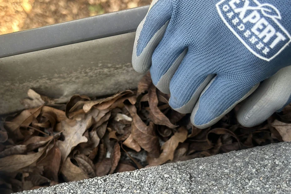 Gutter Cleaning Crestwood, MO